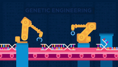 Genetic Engineering  