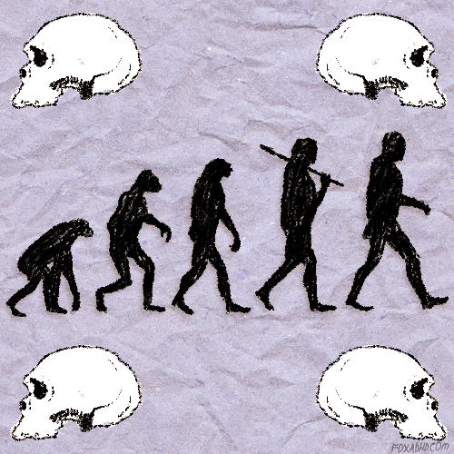 evolution  