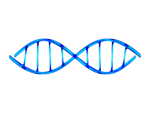 genetics  