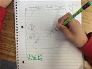Student Mapping 