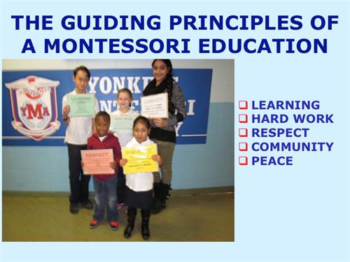 Guiding Principals 